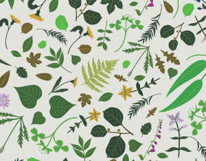 Projeto PROJECT@X ADXTUR - Por Este Rio Acima