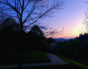 Projeto Design Project