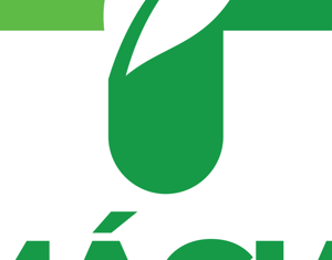 Projeto Farmácia MMS social mídia