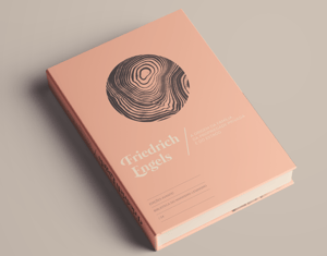 Projeto Hardcover book and sleeve design | ENGELS