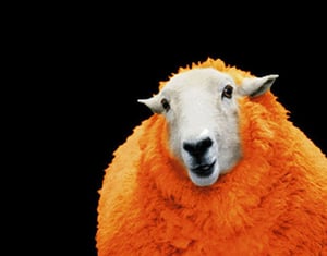 Projeto Anúncios de Imprensa