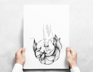 Projeto Canções de roda  +18