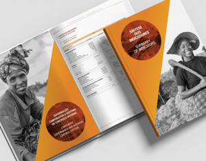 Projeto RELATÓRIO & CONTAS