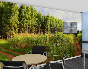 Projeto Portucel Moçambique 3D viz and Design