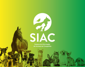 SIAC // Identidade + Animação