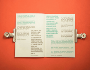 20 anos de carreira de Valter Hugo Mãe