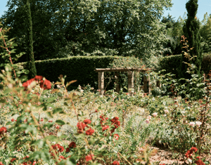 Jardins Abertos Porto 2024