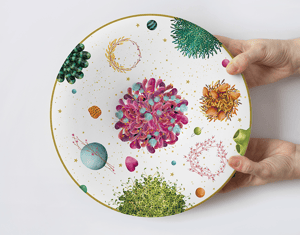 Vista Alegre Contest - Space Garden