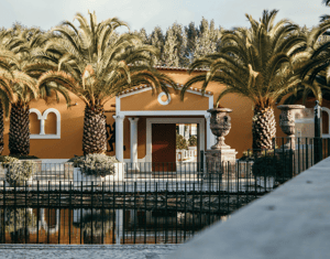 Fotografia Humanizada-Escola Verbo Da Vida Europa