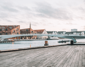 Dinamarca · Shooting