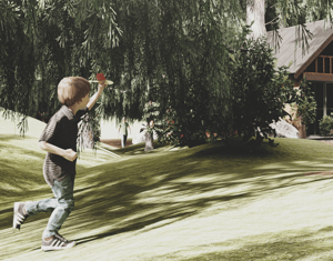 Cabanas dos Pirineus