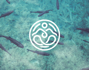 Margarida Cruz Yoga life style