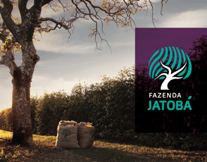 Brandbook Fazenda Jatobá