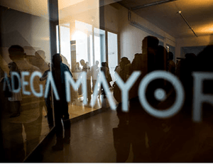 ​VINDIMA MAYOR 2015 > EVENTO