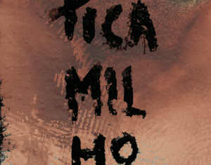 PICAMILHO's Visual Tour