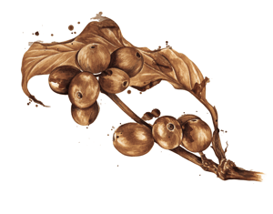 Ilustrações Delta Q