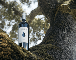 Monte da Raposinha - Vindima