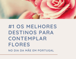 Os melhores destinos para contemplar flores
