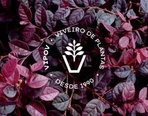 VIPOV - Viveiro de Plantas - Branding