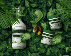 Biomas Cheiros do Brasil