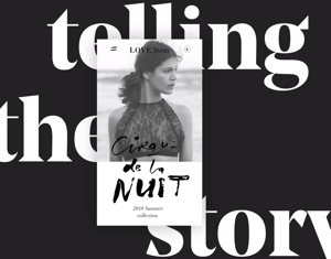 Love Stories - Video case