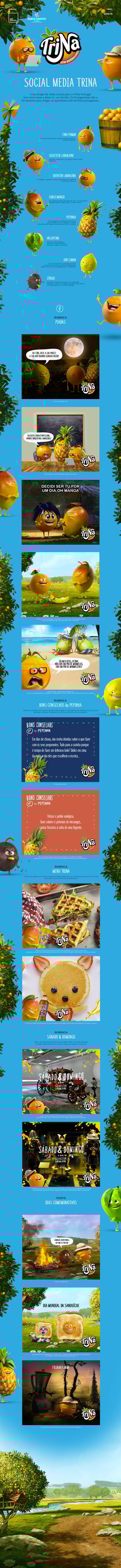 TriNa - Social Media Management