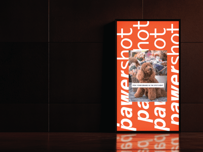Pet Photography Studio rebranding